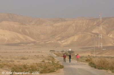 birding the desert near Yahel, K76