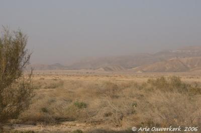 desert Yahel, Arava-vallei at K76