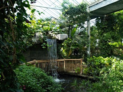 cambridge_butterfly_conservatory