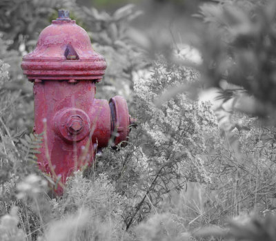  Tresures from the Past  FIRE HYDRANT - September 2011