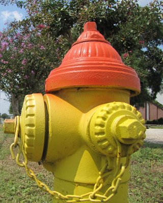 Yellow  Orange Hydrant