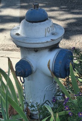 Boise-blue-white-hydrant