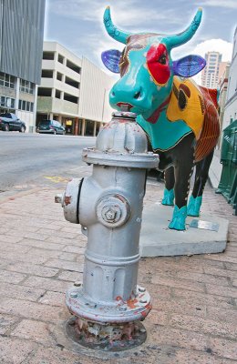 Austin Cow Parade and Hydrant
