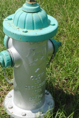 silver hydrant