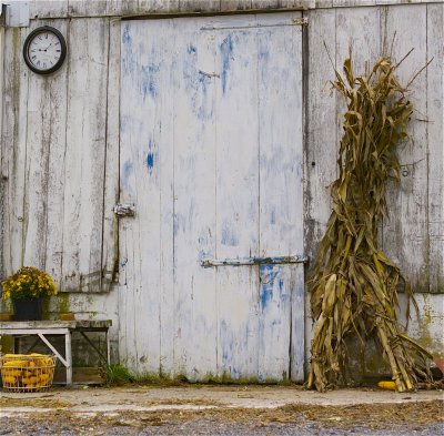 Amish Barn Door