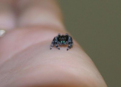 Striking a pose