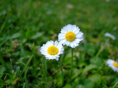 2011 : Treasures in Review