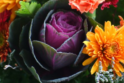 Birthday Flowers by Heather Botto 