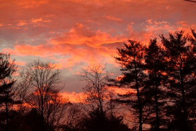 Autumn Sky by Heather Botto 