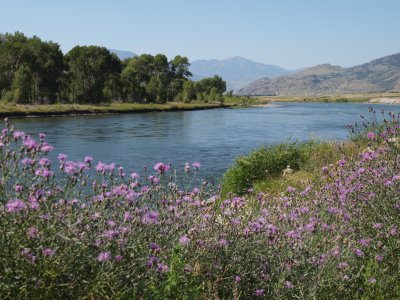 Yellowstone River