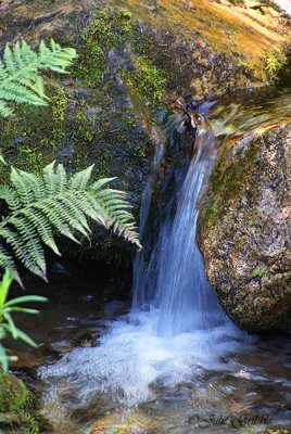 small waterfall by Julie