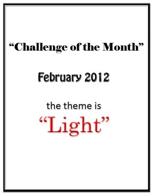 LIGHT  Challenge: February 2012