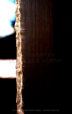 Icy Light_1