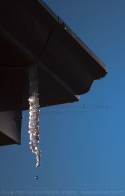 Lightcicle