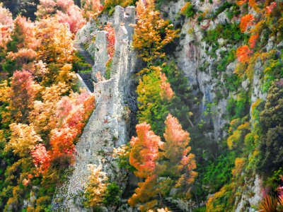 Nature and Antiquity