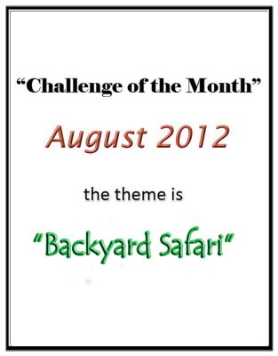 Backyard Safari Challenge: August 2012