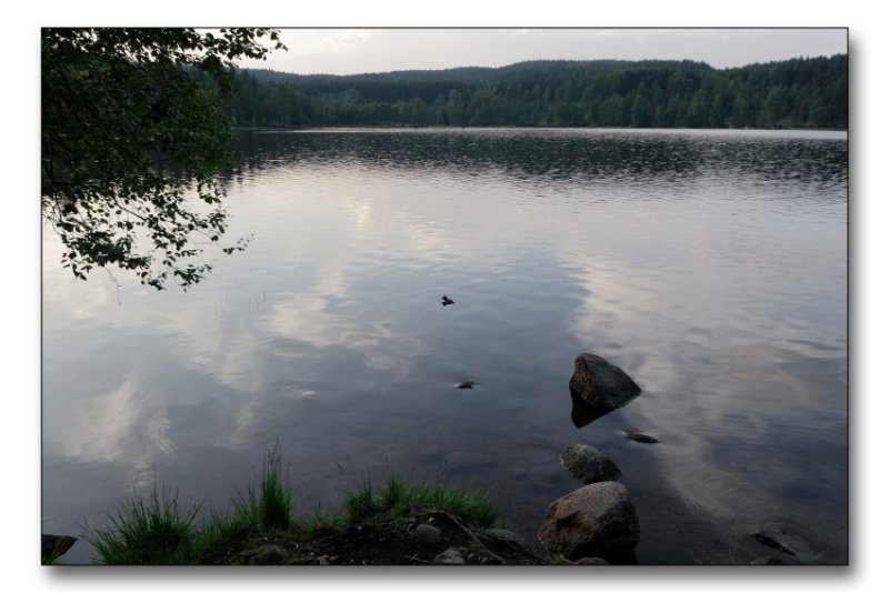 Sognsvann