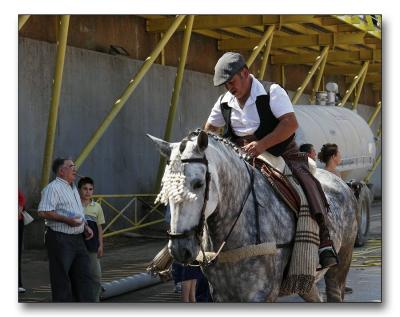 Horse show