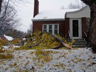 Big branch down