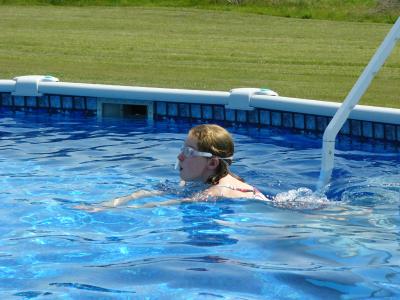 Gliding through clear blue waters