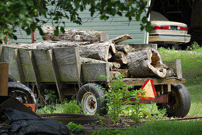 June 24 - An old cart containing tree stumps.
