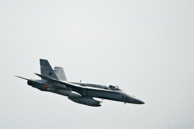 F-18 Hornet