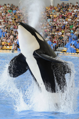 Loro Parque
