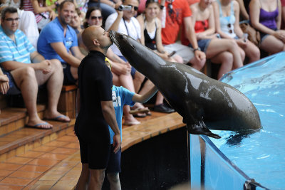 Loro Parque