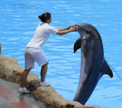 Loro Parque