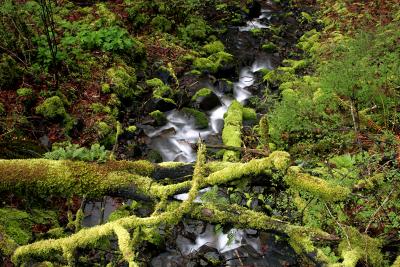 Multnoma_Falls_07.jpg
