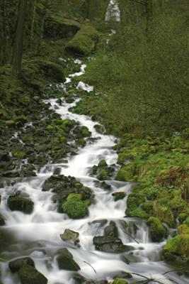 Wahkeena_Falls_01.jpg