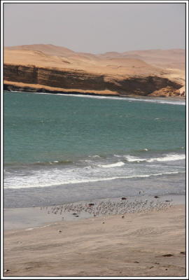 Nazca-Paracas 3.jpg