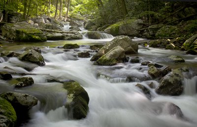 Little Stoney Spring Colors