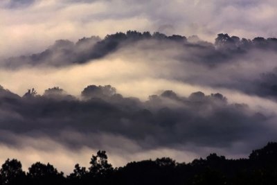 Peaking Through The Fog