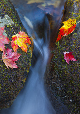 Fall Colors At Little Stoney Creek