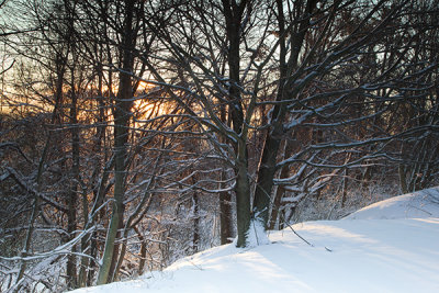 Morning Light-Blacksburg