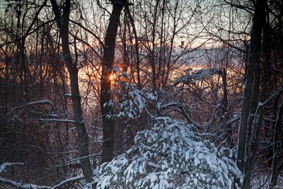 Snowy Sunrise-Montgomery County