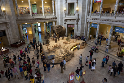 Natural History Lobby