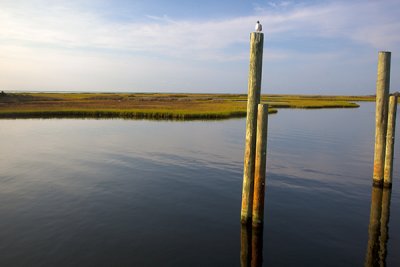 Leaning Poles On The Sound Side In Hatteras 