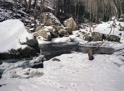 Winter Stream: Cascades, Giles County