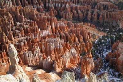 Hoodoos Below