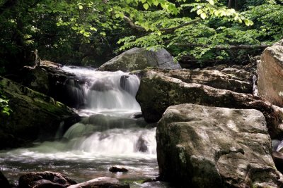 Spring Flow: Little Stoney, Giles County