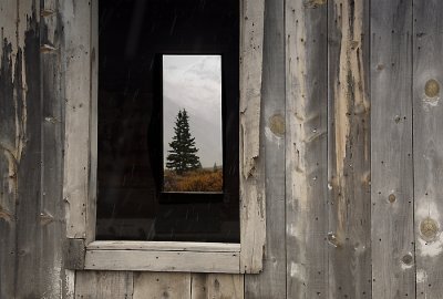 Twin Pines