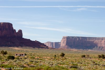 _DSC2953