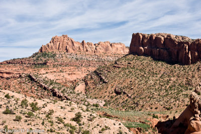 _DSC2986