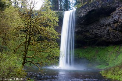 South Falls, Silver Falls  State Park. Oregon - Spring