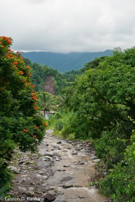 From the Road to Castleton Gardens