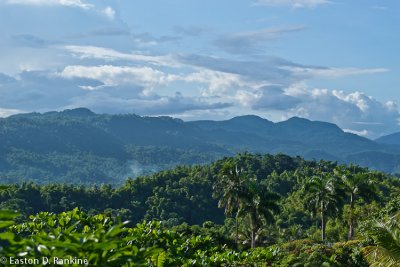 Jamaica's Backbone - Blue Mountains