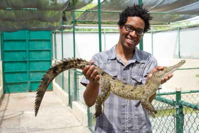 Jerome with Crocodile