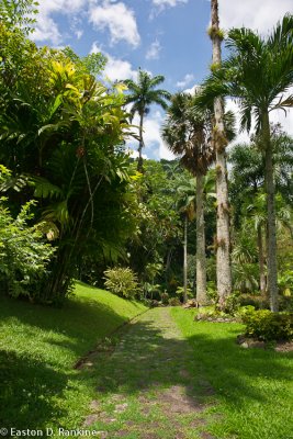 Path - Castleton Gardens